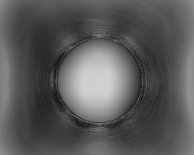X0000086970696200704161146