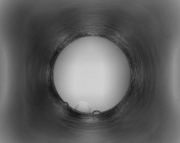 X0000086970702200704161146