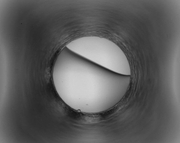 X0000086970707200704161146