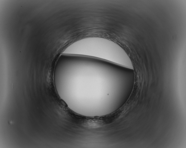 X0000086970708200704161146