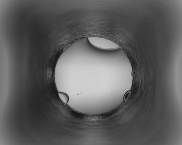 X0000086970711200704161146