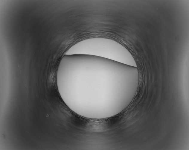 X0000086970713200704161146