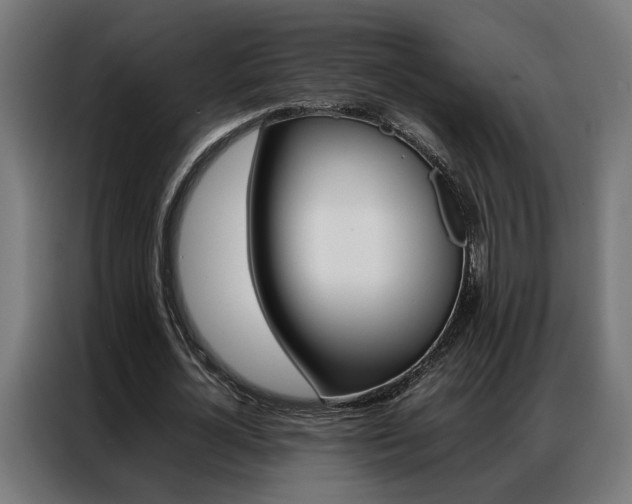 X0000086970724200704161145