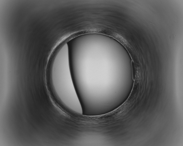 X0000086970726200704161145