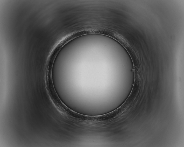 X0000086970728200704161145