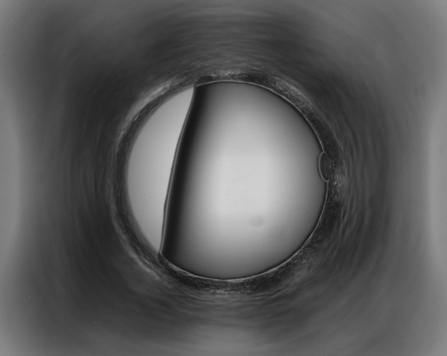 X0000086970732200704161146