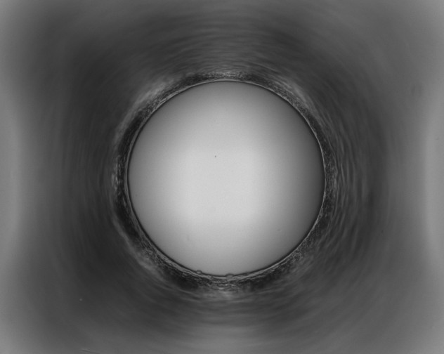X0000086970736200704161146