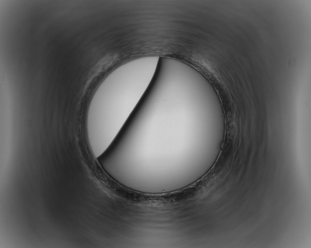 X0000086970738200704161146