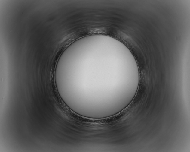 X0000086970741200704161146