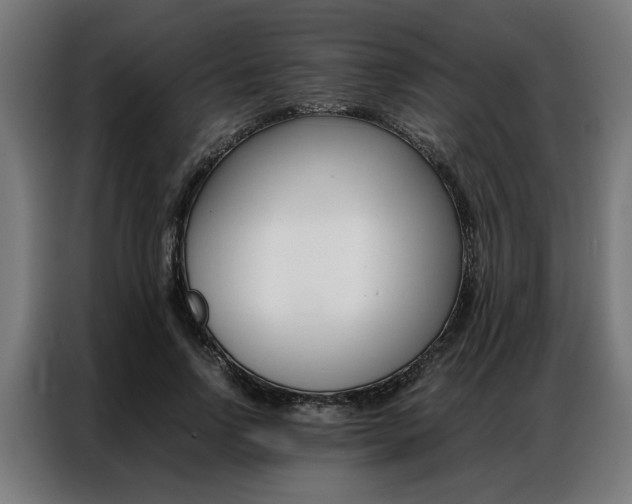 X0000086970742200704161146
