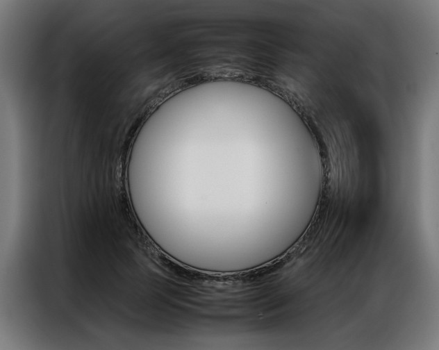 X0000086970745200704161146