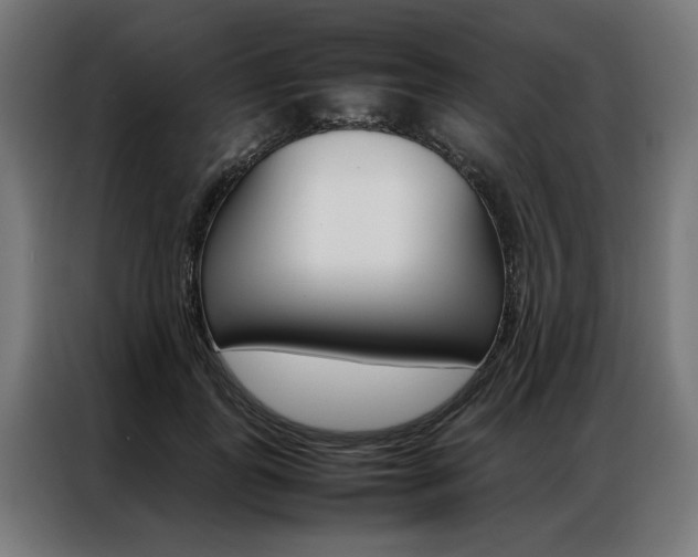 X0000086970747200704161146