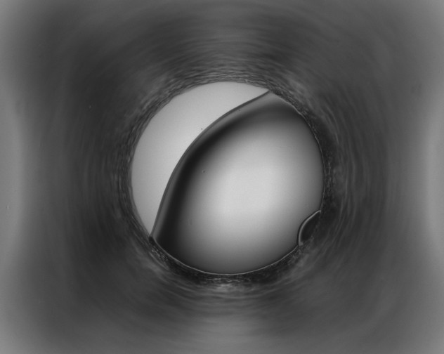 X0000086970750200704161146