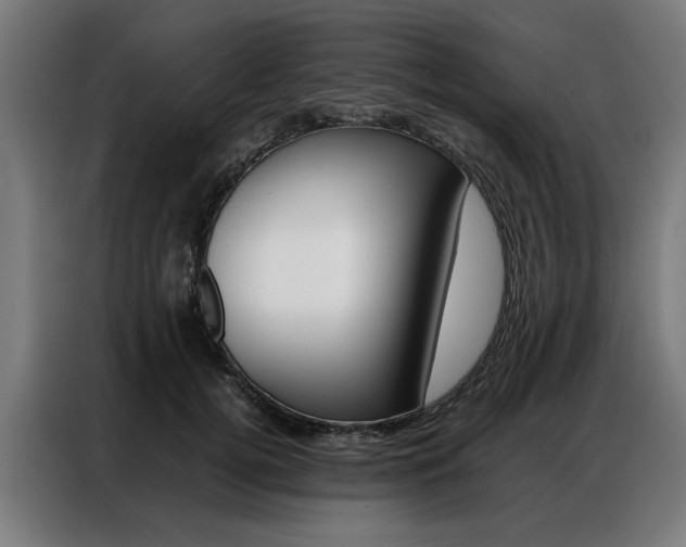 X0000086970752200704161146
