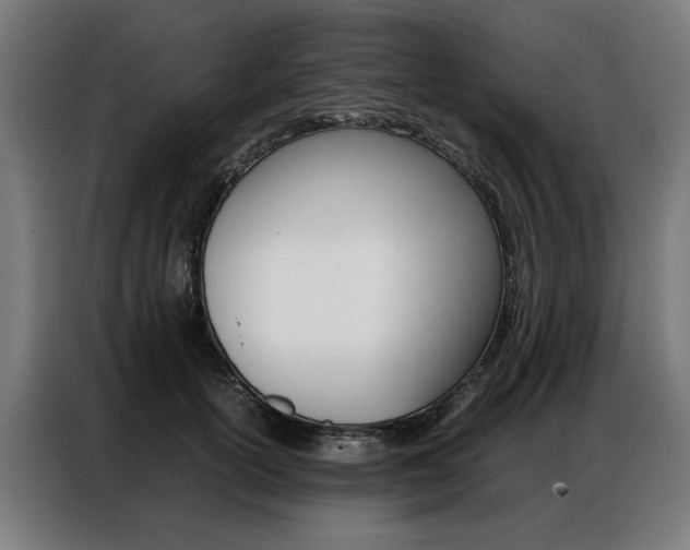 X0000086970754200704161146