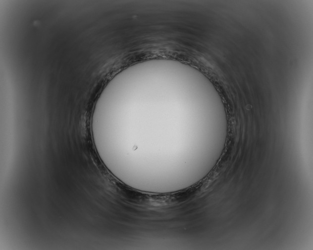 X0000086970757200704161146