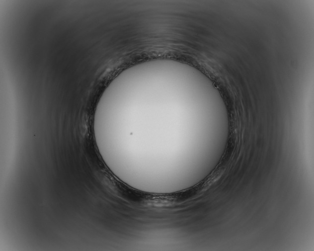 X0000086970758200704161146