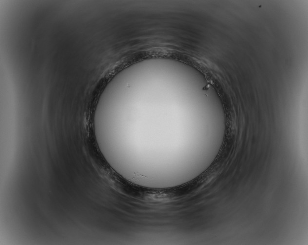 X0000086970759200704161146