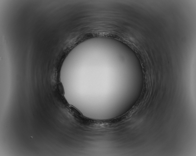 X0000086970760200704161146