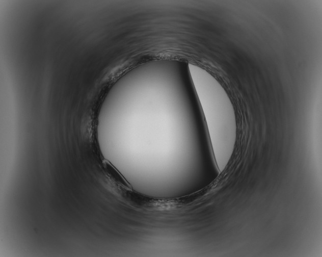 X0000086970762200704161146