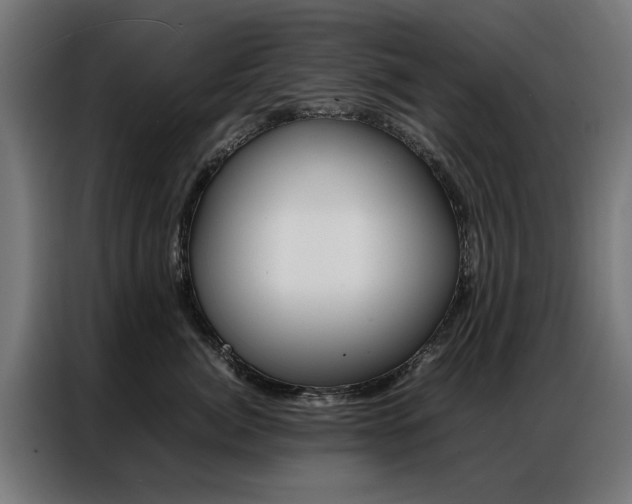 X0000086970764200704161146