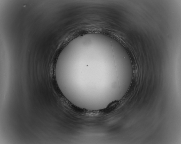 X0000086970767200704161146