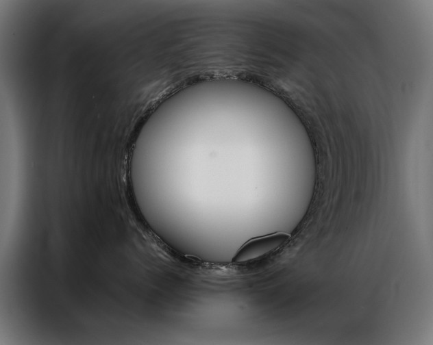 X0000086970768200704161146