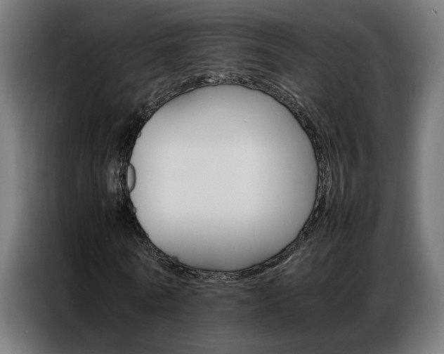 X0000086970770200704161145