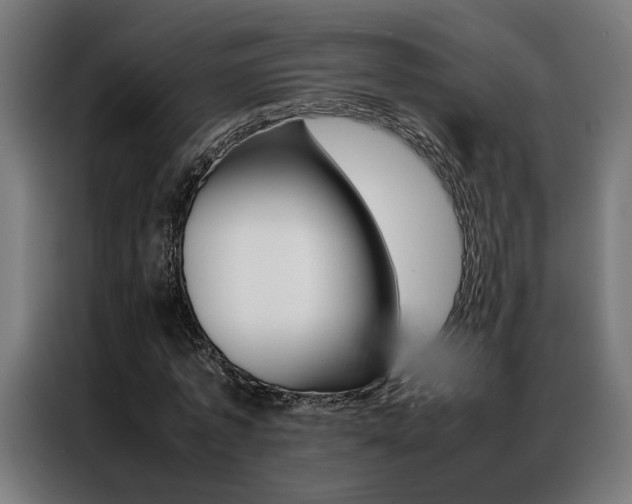X0000086970773200704161145