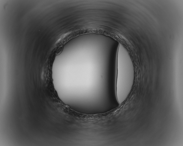 X0000086970776200704161145