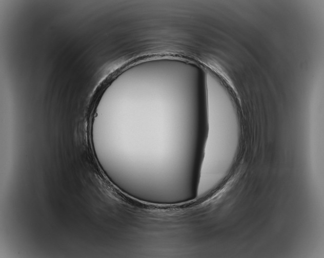 X0000086970781200704161145