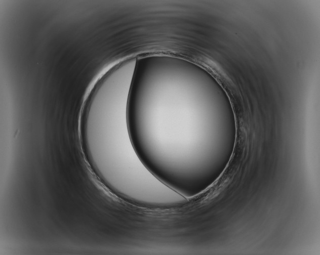 X0000086970788200704161145