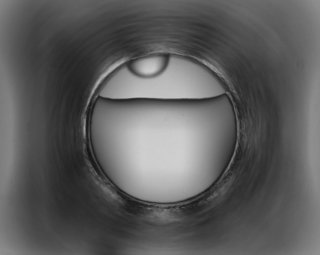 X0000086970790200704161145