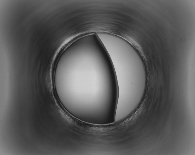 X0000086970792200704161145