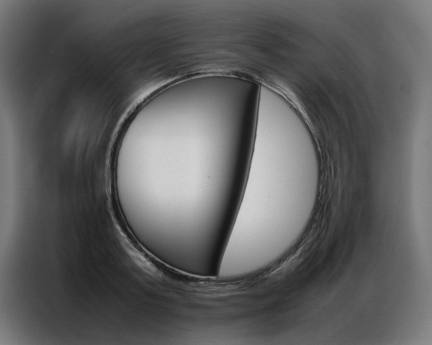 X0000086970795200704161145