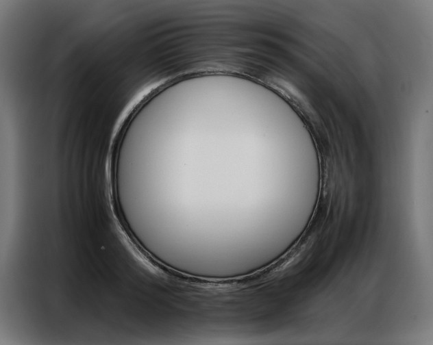 X0000086970796200704161145