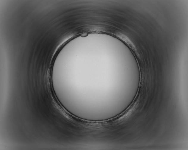 X0000086970798200704161145