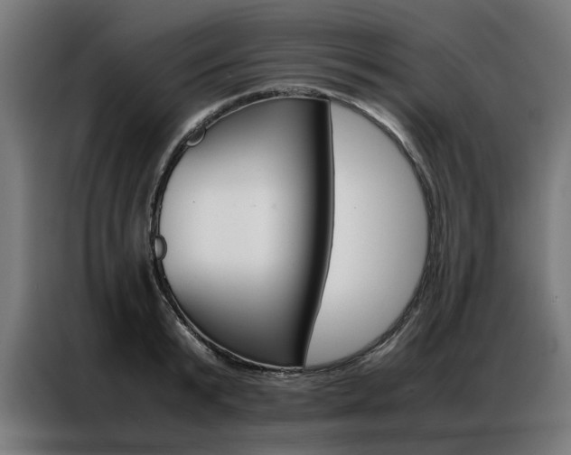 X0000086970799200704161145