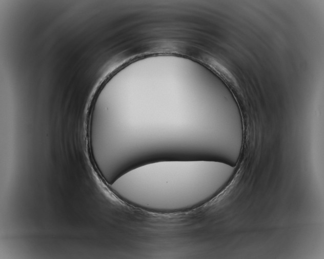 X0000086970800200704161145