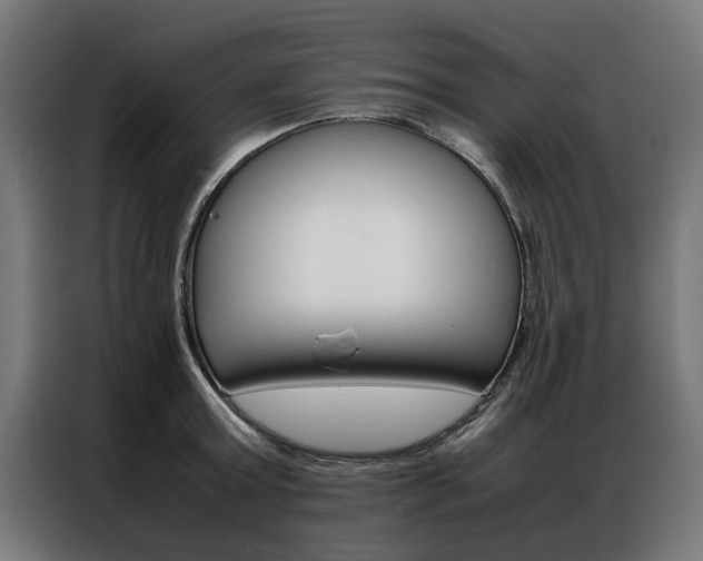 X0000086970803200704161145