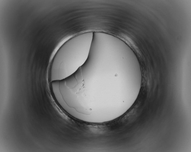 X0000086970804200704161145