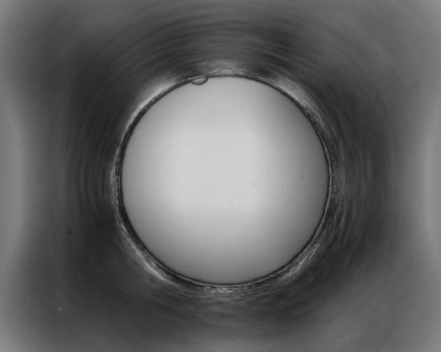 X0000086970806200704161145