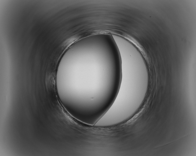 X0000086970809200704161145