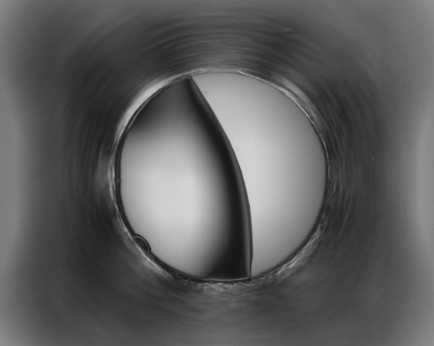 X0000086970812200704161145