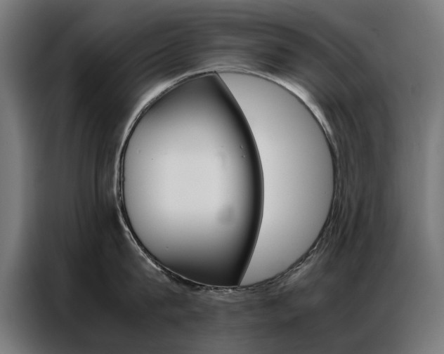 X0000086970815200704161145
