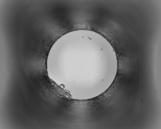X0000086970820200704161144