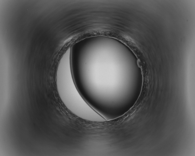 X0000086970822200704161144