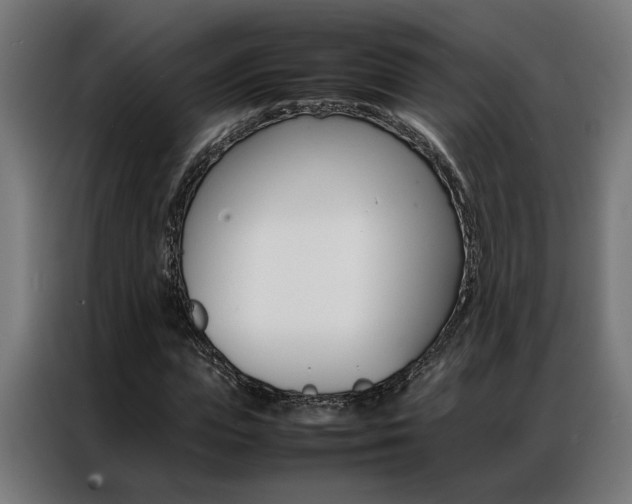 X0000086970823200704161144