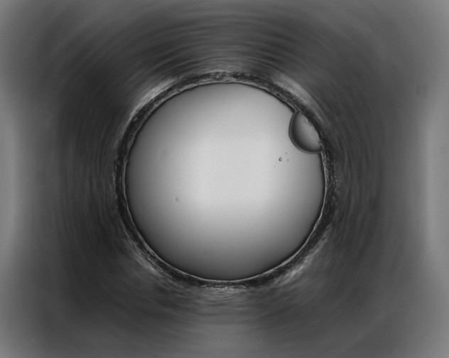X0000086970826200704161144