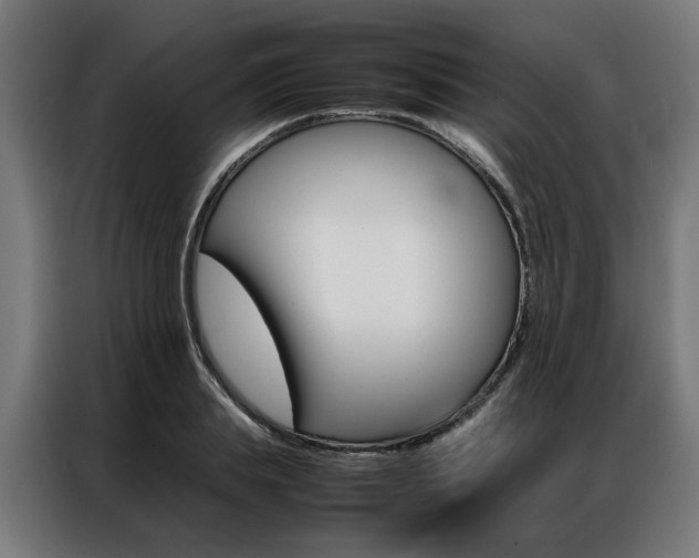 X0000086970839200704161144